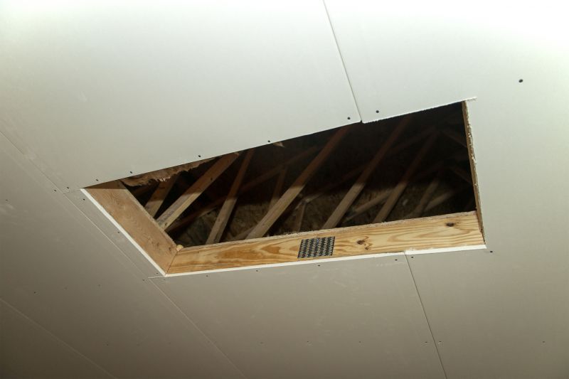 Attic Expansion