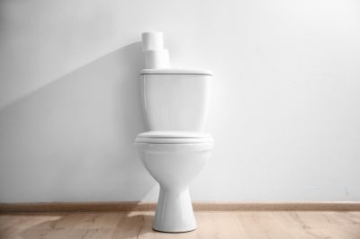 Toilet Parts Replacement - Bathroom Renovations And Remodeling Wilmington, Delaware